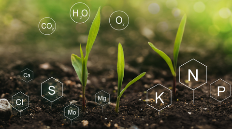 Farming is difficult but, it gives the best organic product for healthy living - Nutri Intact
